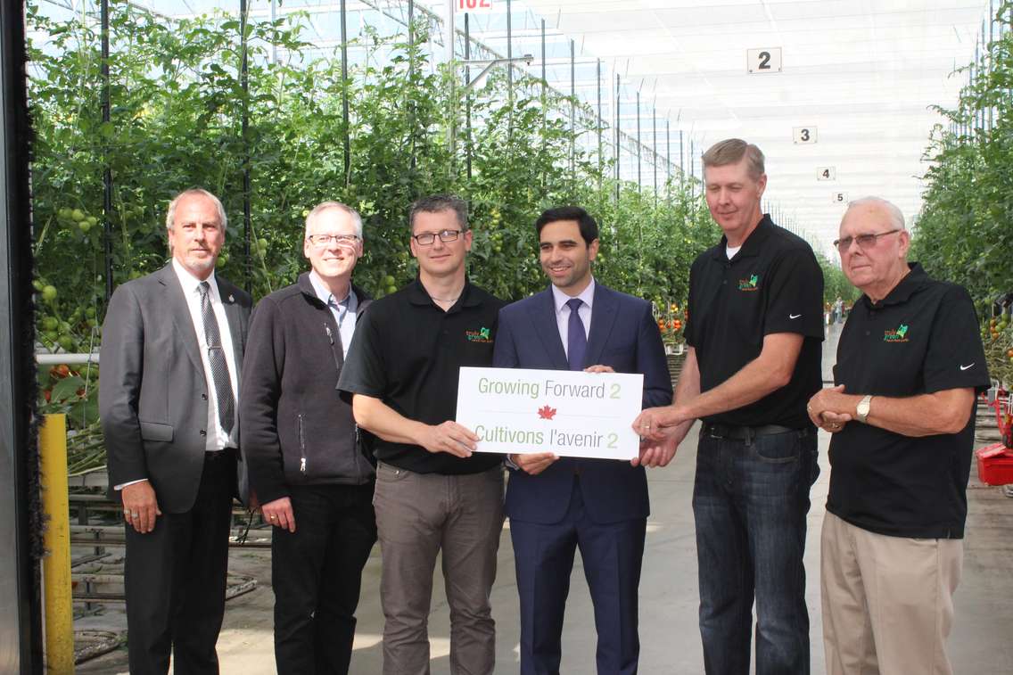 Truly Green Farms and Greenfield Global in Chatham are getting a $3.7-million federal government loan. Sept 11, 2017. (Photo by Paul Pedro)