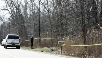 A section of wooded area along Tashmoo Ave. remained cordoned off Mar. 26, 2016 for a homicide investigation (BlackburnNews.com photo by Dave Dentinger)