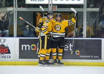 The Sarnia Sting beat the Greyhounds 5-3, handing the Soo their 1st reg. loss in 30 games. January 19, 2018. (Photo courtesy of Metcalfe Photography)