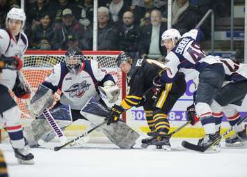 The Sarnia Sting take on the Windsor Spitfires, January 12, 2018. (Photo courtesy of Metcalfe Photography)