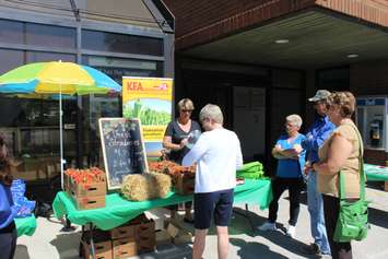Vendors take part in a Farmers Market outside the Civic Centre in Chatham to kick off Local Food Week. June 6, 2016. (Photo by Matt Weverink)