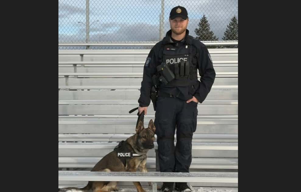 Sarnia Police K9 tracks break-in suspect to Harbour Road roof