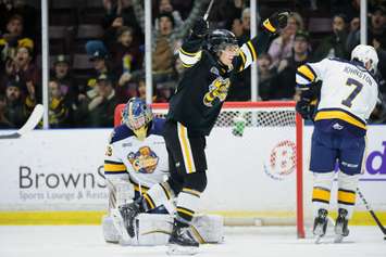 Sarnia Sting against Erie Jan 20, 2023. Photo by Metcalfe Photography.