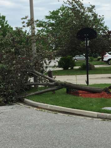 Storm damage shown in east Windsor, June 1, 2022. Photo by Matt Franklin.