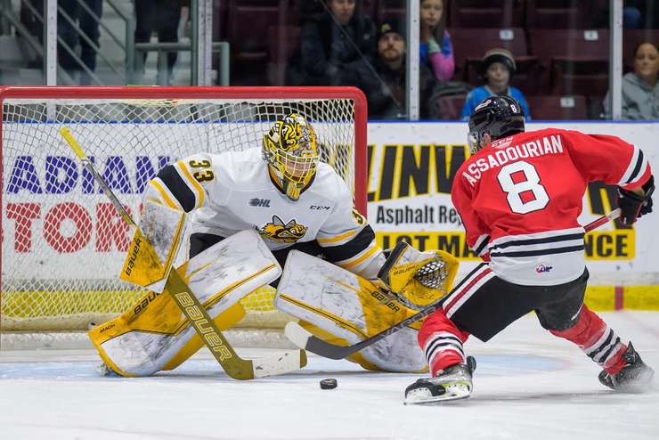 Sarnia Sting vs Niagara IceDogs October 29, 2023. Photo by Metcalfe Photography. 