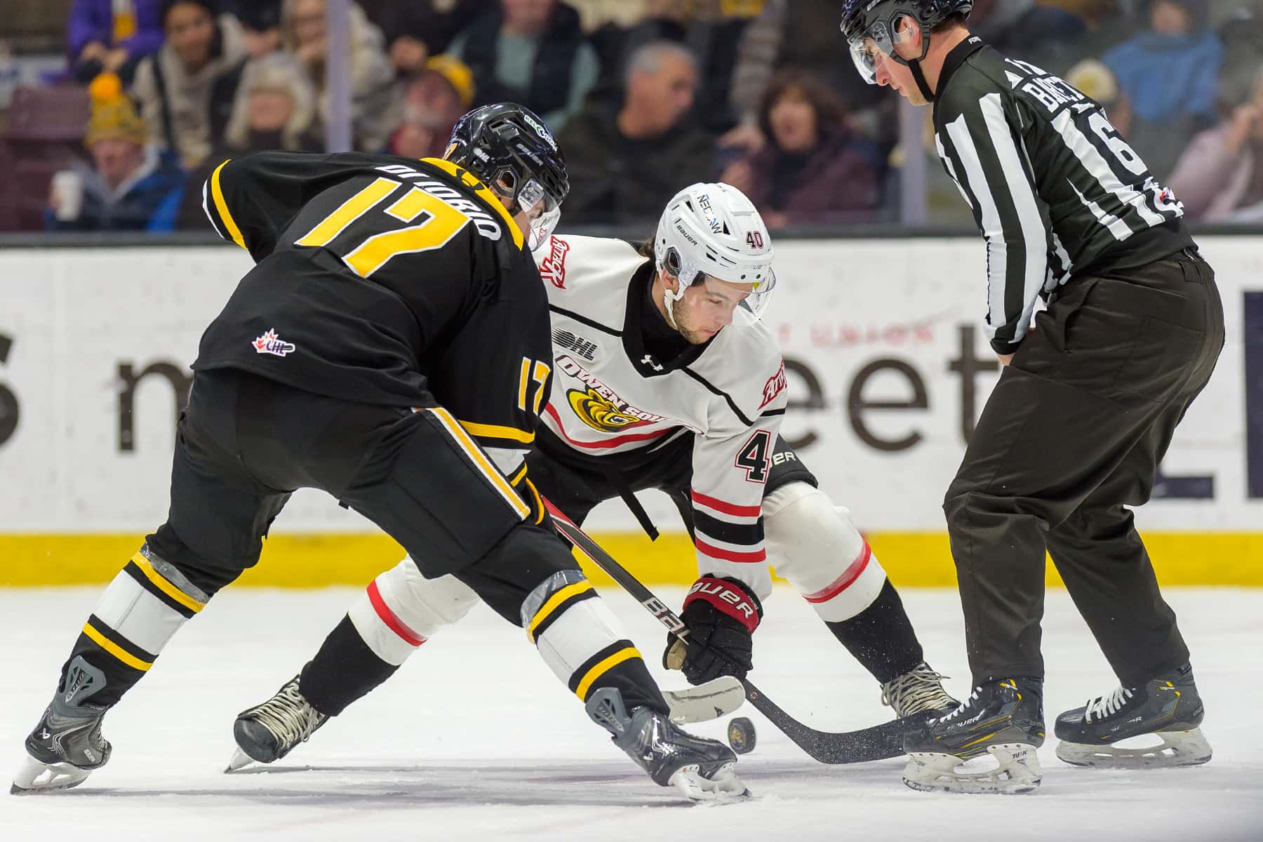 Sting lose school day game in Owen Sound