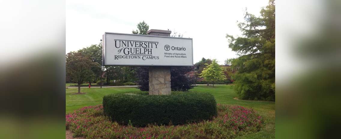 University of Guelph Ridgetown Campus. BlackburnNews.com File Photo