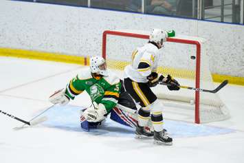 The Sting taking on the Knights in a preseason game from Sarnia.  4 September 2021.  (Photo by Metcalfe Photography)