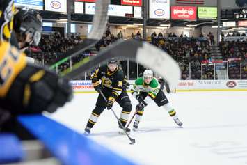 The Sarnia Sting hosting the London Knights.  20 March 2022.  (Metcalfe Photography)