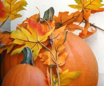 Pumpkins. (BlackburnNews.com photo by Dave Dentinger)