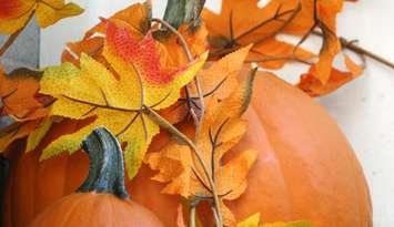 Pumpkins. (BlackburnNews.com photo by Dave Dentinger)