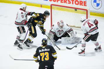 The Sarnia Sting hosting the Guelph Storm from the Hive. 15 February 2023. (Metcalfe Photography)