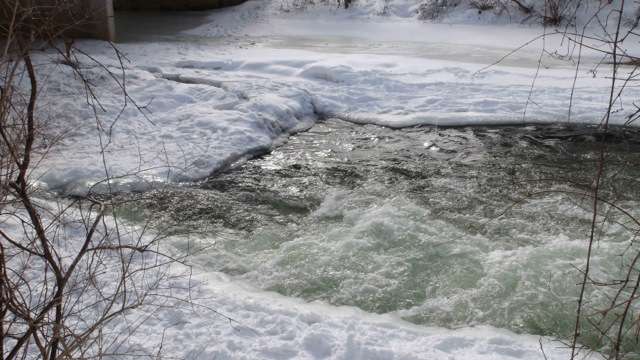 Grey Sauble Conservation issues flood watch