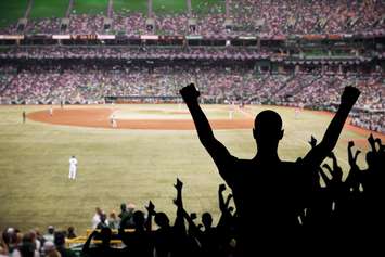Baseball fans celebrating in the stands. © Can Stock Photo / djpadavona