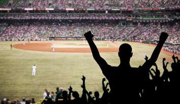 Baseball fans celebrating in the stands. © Can Stock Photo / djpadavona