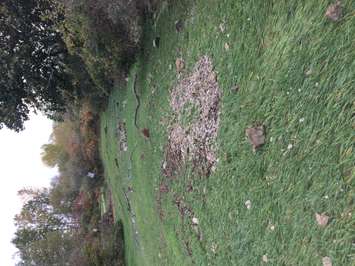 Rock debris tossed by strong waves at Erie Shore Dr. near Erieau, Oct. 25, 2017. (Photo by Paul Pedro)