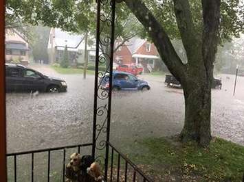 Windsor residents deal with widespread flooding in the city,
 August 29, 2017. (Photo courtesy of Dora Amelia Belanger)
