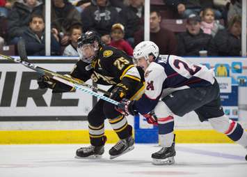 The Windsor Spitfires take on the Sarnia Sting, March 24, 2018. (Photo courtesy of Metcalfe Photography)