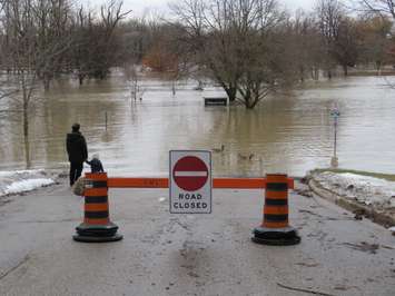 Flooding in Gibbons Park at the Grosvenor St. entrance, February 21, 2018. (Photo by Miranda Chant, Blackburn News) 