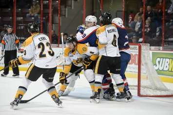 The Sarnia Sting take on the Windsor Spitfires, January 31, 2016. (Photo courtesy of Metcalfe Photography)
