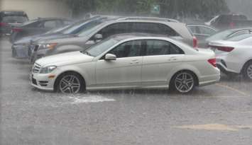 Heavy rain and hail (photo by Tamara Thornton, Blackburn Media)