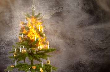 Photo of a burning Christmas tree by Jens Rother/iStock / Getty Images Plus
