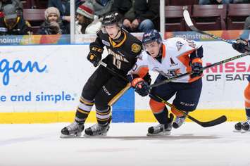 Ryan McGregor in a game against the Flint Firebirds (Photo by Metcalfe Photography)