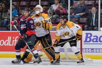 The Sarnia Sting take on the Windsor Spitfires, September 10, 2016. (Photo courtesy of Metcalfe Photography)