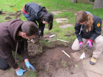 Western University students, Peter Dobrzynski, Sunny Kim, and Alyssa Szilagyi uncovering and repairing Confederation-era tombstones at Woodland Cemetery, May 11, 2017. (Photo by Miranda Chant, Blackburn News.)
