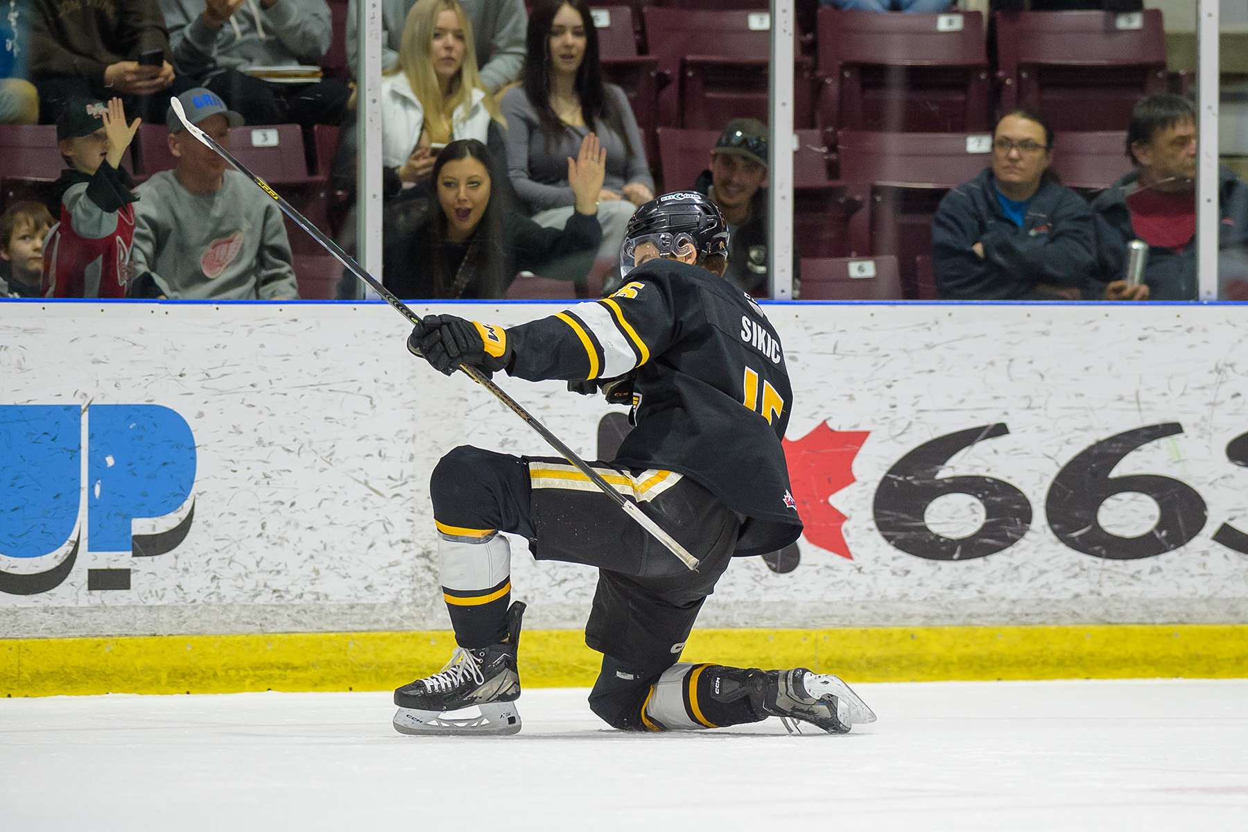 Sikic signs with ECHL's Growlers