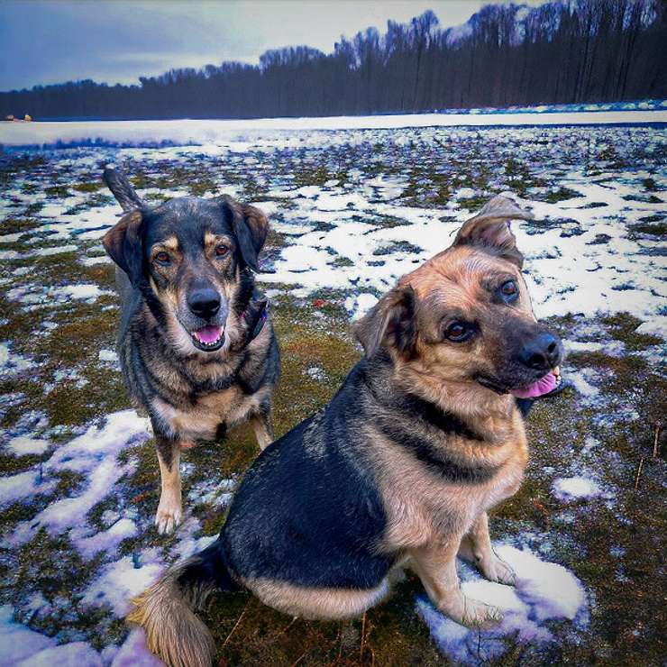 Okesha and Josie. Photo provided.