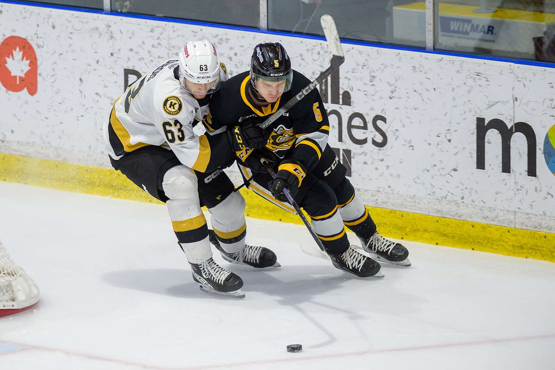 Sarnia gets stung by Kingston Frontenacs