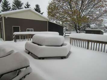 Snowfall off London Line. November 12, 2019 Photo submitted by D C Sylvestre