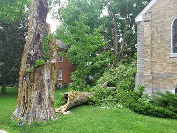 Damage in Brussels after a storm on July 19, 2020. (Photo by Steve Sabourin)