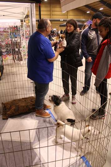 Southwestern Ontario Pet Expo at the John D. Bradley Convention Centre in Chatham. March 11, 2017. (Photo by Natalia Vega)