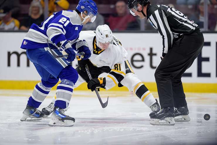 Sudbury Wolves at Sarnia Sting, Sept 26, 2025. Photo by Metcalfe Photography. 