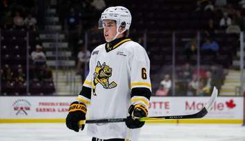 Cameron Aucoin of the Sarnia Sting. Photo by Natalie Shaver/OHL Images