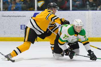 Sarnia Sting battle the London Knights from Progressive Auto Sales Arena. 1 February 2020. (Photo by Metcalfe Photography)