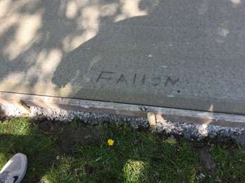 Newly poured concrete pads damaged in Petrolia's Victoria Park. (Photo via Town of Petrolia Facebook)