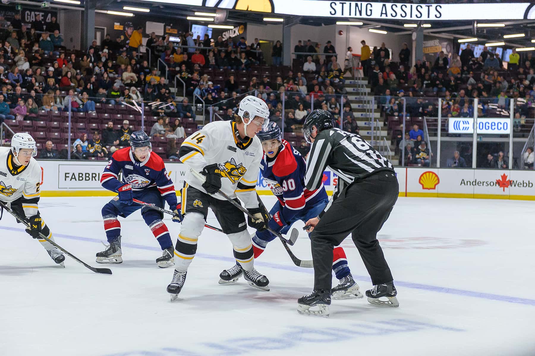Sting lose 9-2 against Saginaw