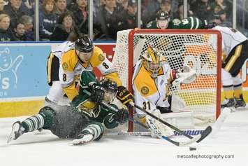 The London Knights take on the Sarnia Sting, February 7, 2016. (Photo courtesy of Metcalfe Photography)