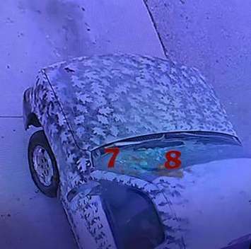 (Photo courtesy of Chatham-Kent police)