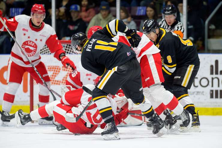 Sarnia Sting at home against the Soo Greyhounds January 19,2024 (photo courtesy: Metcalfe Photography)