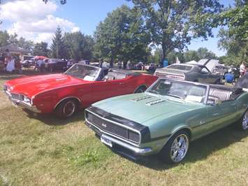 Thousands descend on Bothwell's Victoria Park for the annual Bothwell car show, August 6, 2016. (Photo by the Blackburn Radio Summer Patrol)