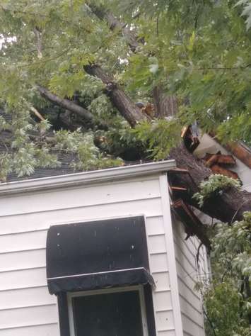 Storm damage is seen on George Ave. in Windsor, August 6, 2018. Submitted photo. Used with permission.