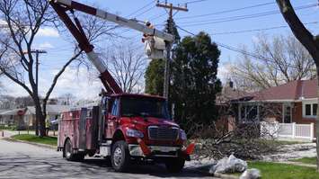 Bluewater Power workers fixing power lines on Oak Ave. after part of a tree came down. May 4, 2018. (Photo by Colin Gowdy, BlackburnNews) 