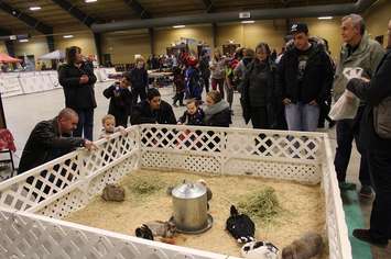 Southwestern Ontario Pet Expo at the John D. Bradley Convention Centre in Chatham. March 11, 2017. (Photo by Natalia Vega)