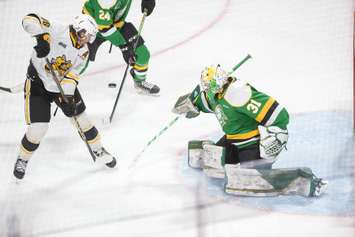 Sarnia Sting against London Knights on Friday, May 5, 2023 at Budweiser Gardens in London, Ontario. (Photo courtesy of Metcalfe Photography)