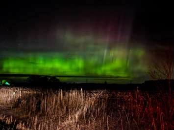 Northern Lights outside Newbury. (Photo via Joanna from Bothwell) March 23, 2023.