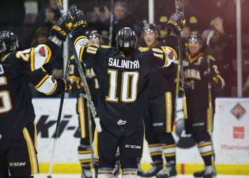 The Sarnia Sting defeat the Niagara IceDogs 5-4 in OT. February 10, 2018. (Photo courtesy of Metcalfe Photography)